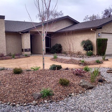 Drought Resistant Yards