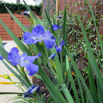 Pulling it Together…Pool-scaping