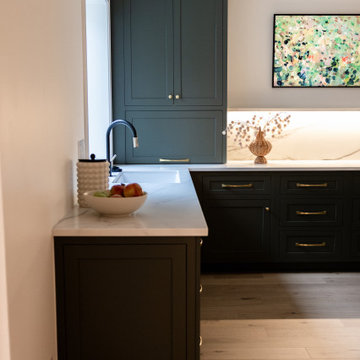 Luxury Basement Remodel with Custom Bar, Wine Display & Wellness Retreat