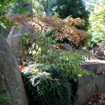 Favorite Plants and Cool Stuff