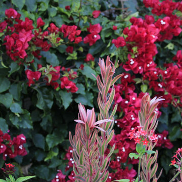 Colorful Garden Design