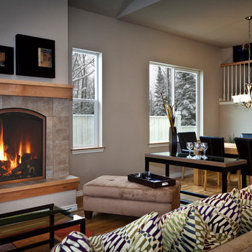 Mendota Fireplaces