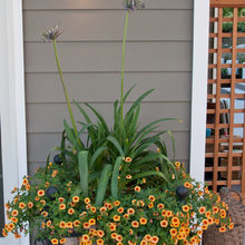 Exterior color