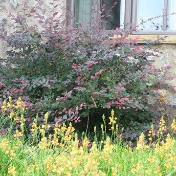 Wimberley Ranch House