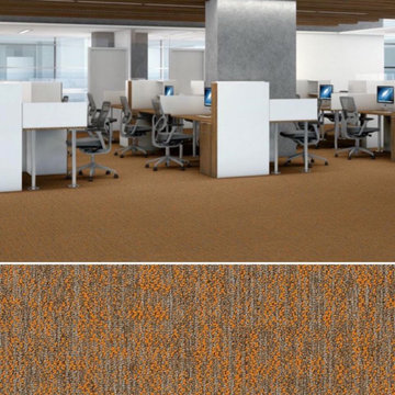 Shaw Philadelphia Beyond Basic Crazy Smart 54841 Commercial Carpet Tile
