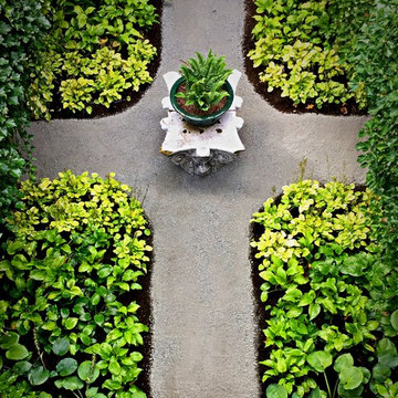 Planting