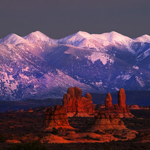 Photos from Nature
