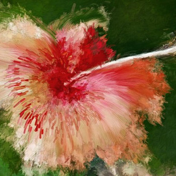 Home Decor by GinSey Art & Design