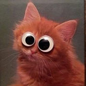 Flavio Jarabeck's photo