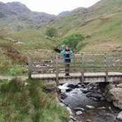 Gillian Teague's photo