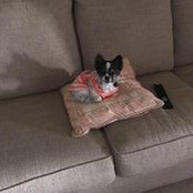 Michelle Mitthun's photo