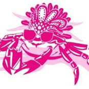 Bahamas Charter's photo