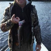 Michael Mattat's photo
