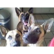 Billie Feldmann's photo
