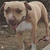 Kla Perez's photo