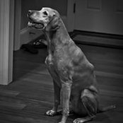 Amy Knight's photo