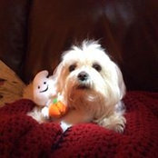Tonja Brohl's photo