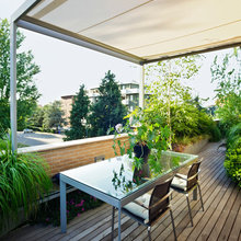 Backyard Pergola