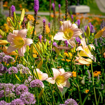Lake Home Perennial Garden - Oconomowoc