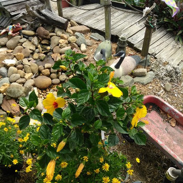 Butterfly Habitat