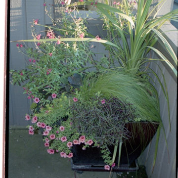LANDSCAPE - Container Gardens