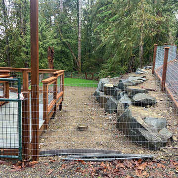 Layered Garden in the Woods - before