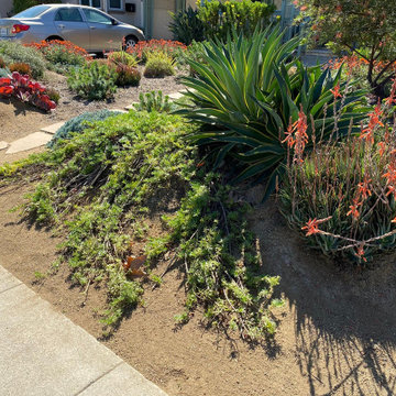 Bermed front yard