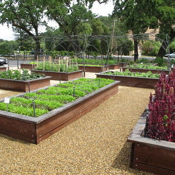 Vegetable gardens