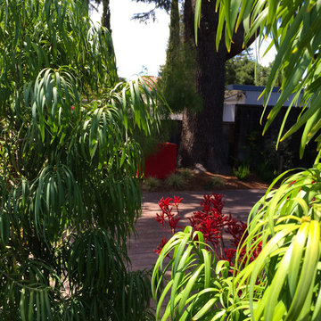 Master Suite Privacy: A Front Yard Transformed