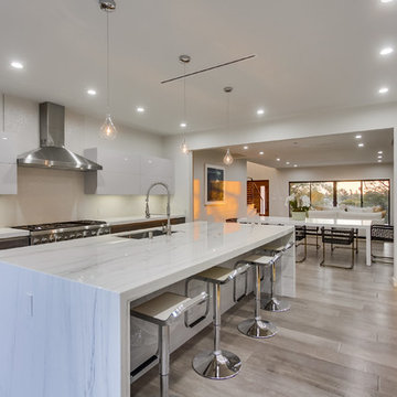 COOL MODERN KITCHEN IN LOS ANGELES, CA