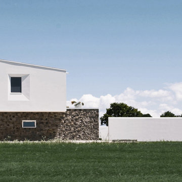 Villa White Daisy