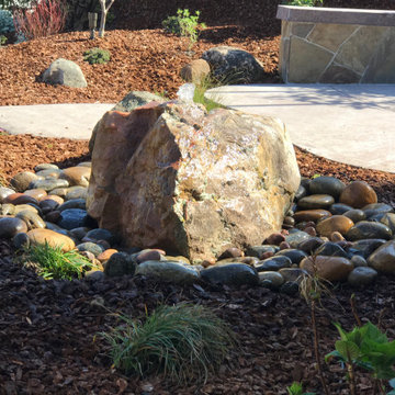Benicia Low-maintenance front yard