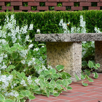 Spring Flowers