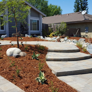 Tierra Santa Mediterranean Lawn Replacement