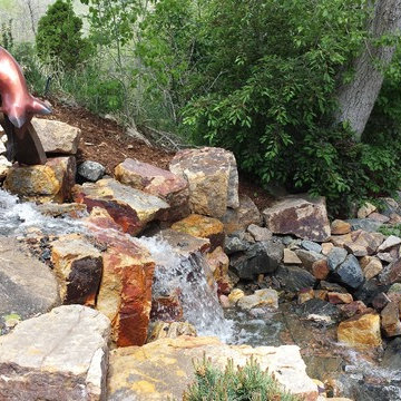 Foxy Colorado Stream