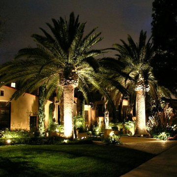 Custom Outdoor Landscape Design