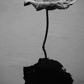 Thanh Hà's photo