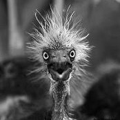 Sue Jacobsen's photo