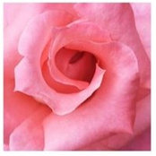 Kamala Nahas's photo