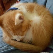 Kate Kettler's photo