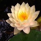 Bobbie Newman's photo