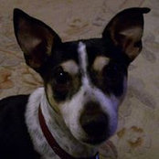 Cindy Mitzel's photo