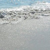 Carmela Bono's photo