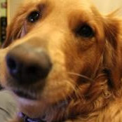 Karen Grossmann's photo