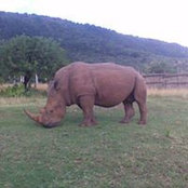 Susan Muumbi's photo