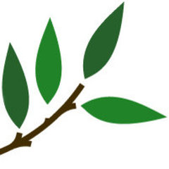 ArborOne