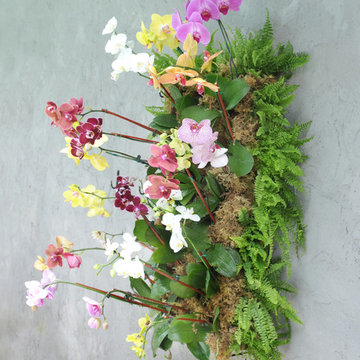 Living Walls