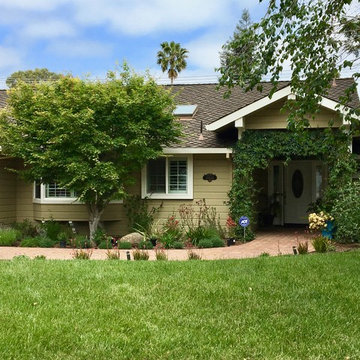 Saratoga - Lawn replacement & reduction