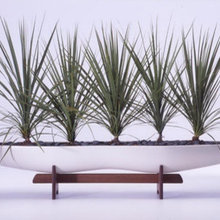 Plantings