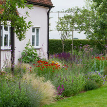 Contemporary Cottage Garden